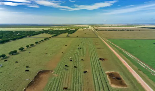 Graphics of "Navigate Texas Agriculture: Houston Real Estate Attorney Services & Mineral Rights Lawyer Tips for Livestock Operations"