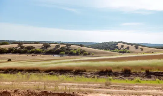 Graphics of Unlock Texas Land Potential: Expert Wildlife Management & Hunting Lease Guidance from a Skilled Rural Property Attorney in Texas