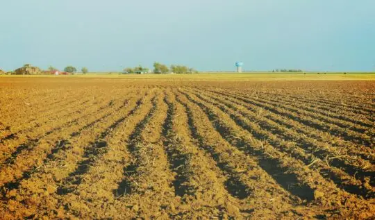 Picture of Texas Land