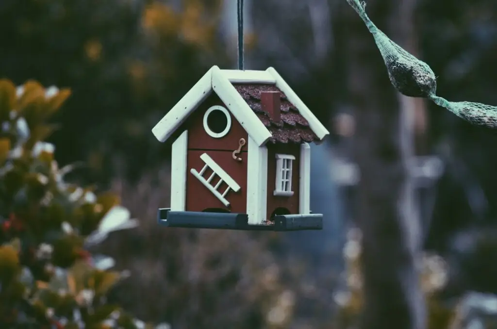 Clear to close Realestate- Photo by Harper van Mourik - Daughtrey Law Firm closeup photo of red and white bird house