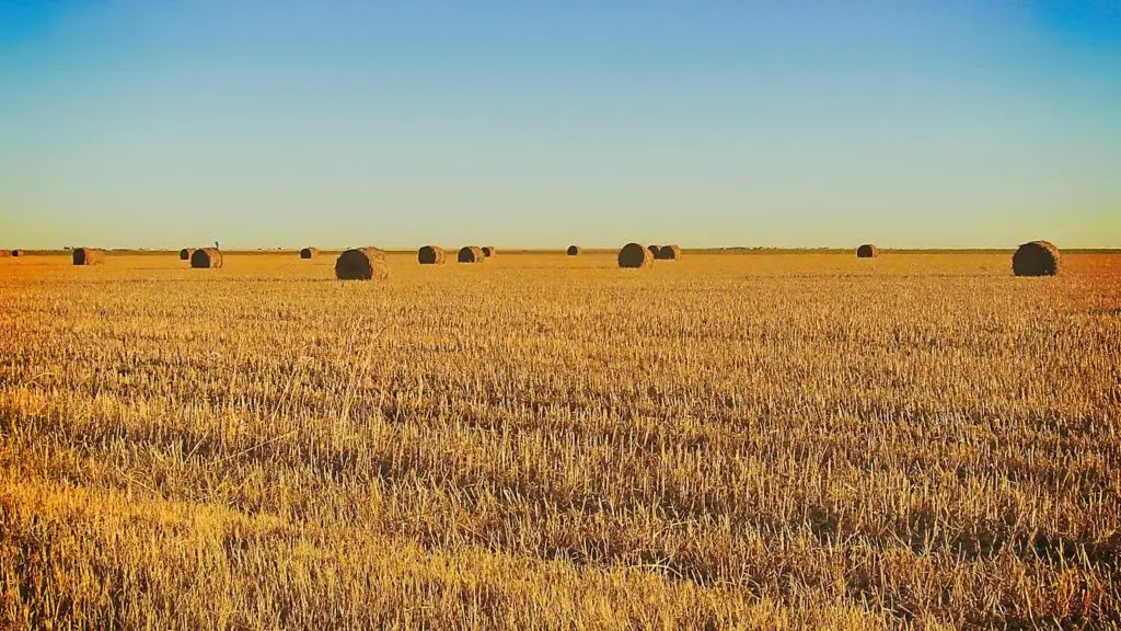 Photo by K Mitch Hodge - Daughtrey Law Firm Benefits of Agricultural Tax Exemptions in Texas
